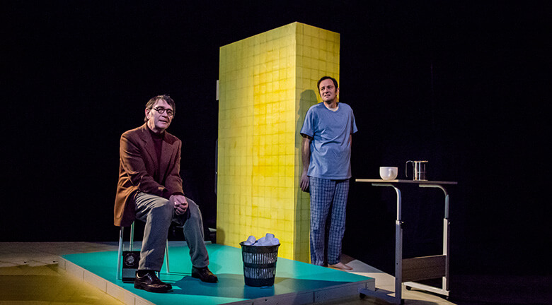 2020_festival-les-theatrales_le-transformiste