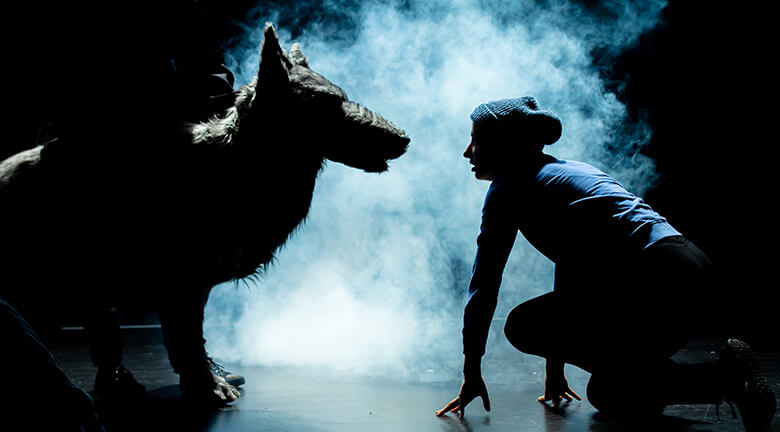2020_festival-les-theatrales_maja